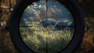 theHunter: Call of the Wild Screenshot 14