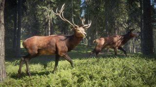 theHunter: Call of the Wild Screenshot 12