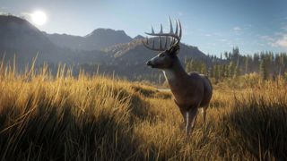 theHunter: Call of the Wild Screenshot 13