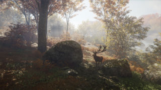 theHunter: Call of the Wild Screenshot 4