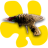 Eggstraterrestrial Trophy