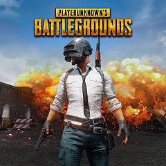 PlayerUnknown's Battlegrounds Review MetaGame.guide