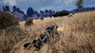 PlayerUnknown's Battlegrounds Screenshot 4