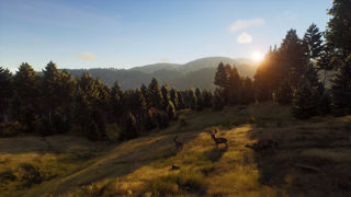 Way of the Hunter Screenshot 1