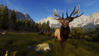 Way of the Hunter Screenshot 10