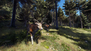 Way of the Hunter Screenshot 9