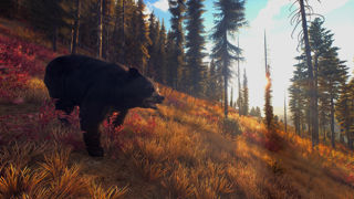 Way of the Hunter Screenshot 2