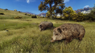 Way of the Hunter Screenshot 3