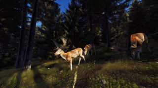 Way of the Hunter Screenshot 4