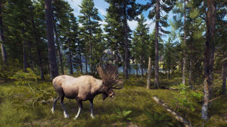 Way of the Hunter Screenshot 5
