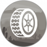 Professional vulcanizer Trophy