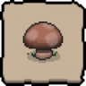 Spelunker Boy Trophy