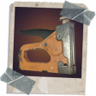 Surgery Trophy