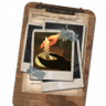 Frustration Trophy