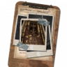 Obsession Trophy
