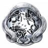 Soul Searcher Trophy