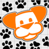 Paws and Reflect Trophy