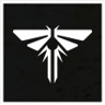 Look for the Light Trophy