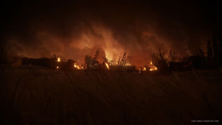 The Last of Us Part II Screenshot 8