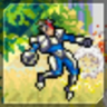 Enter The Ninja Trophy
