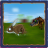 Hunter Trophy