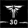 Look for the Light Trophy