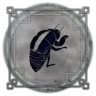 Ascension Trophy
