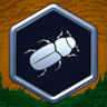 The Beetles Trophy
