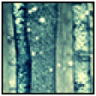 Complete Level Seven Trophy