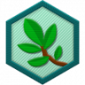 Hedge Lab Trophy