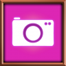 Fine Shot Trophy