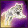 Cat Person Trophy
