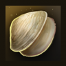 Shell shock Trophy