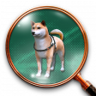 Who's a Good Boy? Trophy