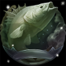 Fishing Master Trophy
