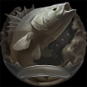 Won't Buy Anymore Trophy