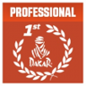 Professional Winner Trophy