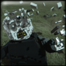 Voldemort's Demise Trophy