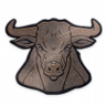 Mess with the Bull.... Trophy