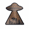 The Truth is Out There Trophy