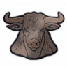 Mess with the Bull.... Trophy