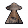 The Truth is Out There Trophy