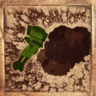 10/10 Trophy