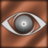 BRaiN: Memories Hidden in Dreams Trophy