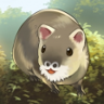 Big Nutria, Small Adventures Trophy