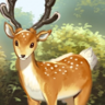 Deer of the Valley of the Wind Trophy
