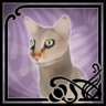 Cat Lover Trophy