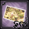 Newbie Trophy