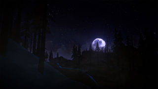 The Long Dark Screenshot 3