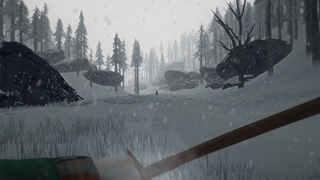 The Long Dark Screenshot 5